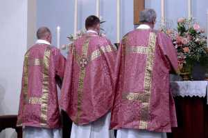 Warna liturgis rose